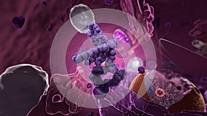 Organelles inside Eukaryote, focus on ribosomes - 3d illustration