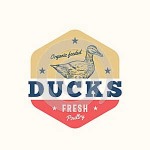 Organi Feeded Ducks Fresh Poultry Abstract Vector Sign, Symbol or Logo Template. Hand Drawn Duck Sillhouette with Retro