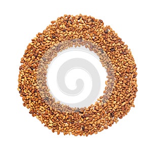 Organic Alfalfa seed Medicago sativa in Ring Shape. Letter O for Omega3.