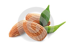 Organic almond nuts and leaves