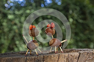 Organic animals made from brown acorns, marrons, magnolia soulangeana seeds and safety matches photo