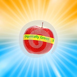 Organic apple