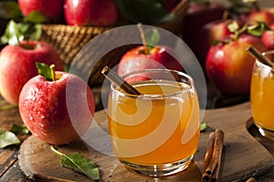 Organic Apple Cider with Cinnamon