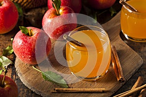 Organic Apple Cider with Cinnamon