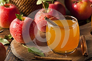 Organic Apple Cider with Cinnamon