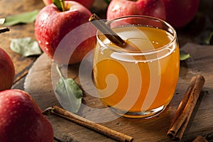 Organic Apple Cider with Cinnamon