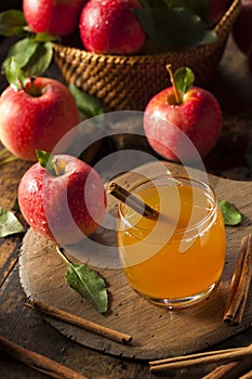 Organic Apple Cider with Cinnamon