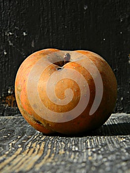 Organic apple known in Serbia as `koÃÂ¾ara`, close-up photo