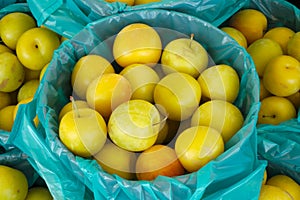 Organic apples basket little yellow fruits harvest