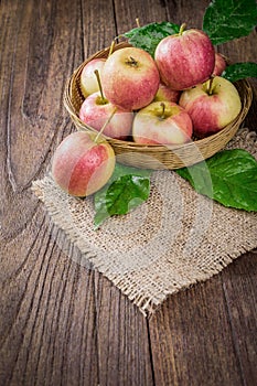 Organic apples in basket in summer grass. Fresh apples in nature