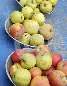 Organic apples / food in