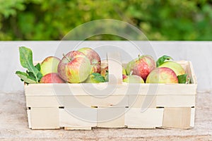 Organic apples in a wide wooden basket