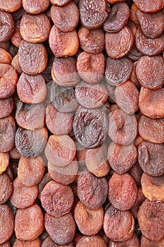 Organic Apricot of Malatya, Turkey.