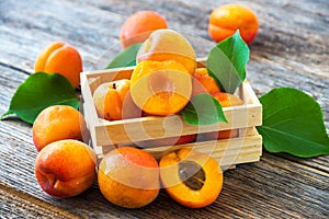 Organic apricots with leaves