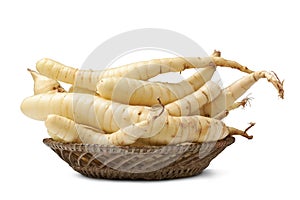 organic arrowroot rhizomes on a tray