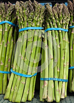 Organic Asparagus