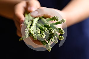 Organic asparagus in hand, Helathy food ingredient