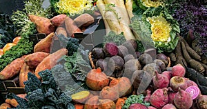 Organic autumnal vegetables roots at a food market