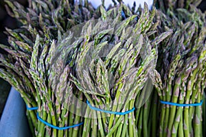 Organic baby asparagus at Farmers Market