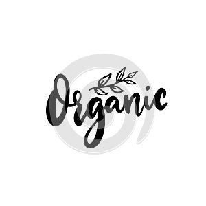 Organic badge, modern calligraphy word and hand drawn plant branch. Black vector text isolated on white background.