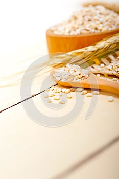 Organic barley grains