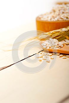 Organic barley grains