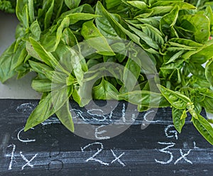 Organic Basil For Sale at Local Family Farmers Market, Mirabel,