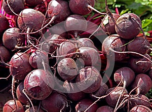 Organic beetroot