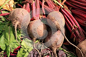 Organic Beetroot