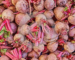 Organic beetroots at the local market - top view