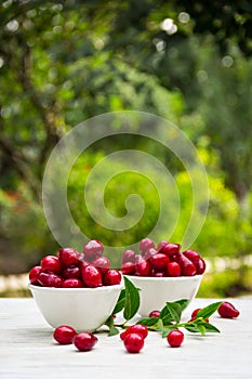 Organic berries dogwood in white bowls on a green natural background. Red juicy berries. Copy space