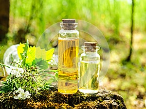 Organic bio alternative medicine, Herbal medicine., bottles of healthy essential oil or infusion and dry medicinal herbs photo