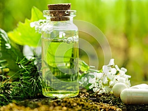 Organic bio alternative medicine, Herbal medicine., bottles of healthy essential oil or infusion and dry medicinal herbs photo