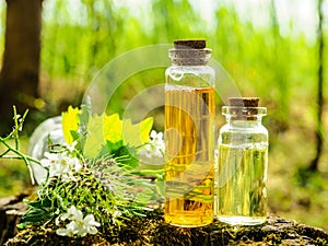 Organic bio alternative medicine, Herbal medicine., bottles of healthy essential oil or infusion and dry medicinal herbs photo