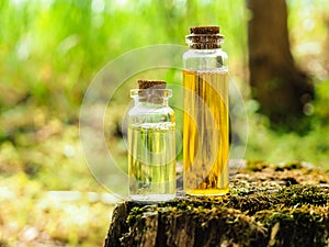 Organic bio alternative medicine, Herbal medicine., bottles of healthy essential oil or infusion and dry medicinal herbs photo