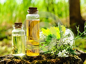 Organic bio alternative medicine, Herbal medicine., bottles of healthy essential oil or infusion and dry medicinal herbs photo