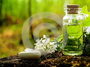 Organic bio alternative medicine, Herbal medicine., bottles of healthy essential oil or infusion and dry medicinal herbs photo