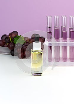 Organic bio grape cosmetics. Extract, grape seed oils, serum. Abstract cosmetic laboratory