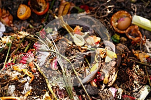 Organic biological kitchen waste