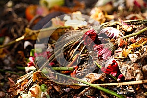 Organic biological kitchen waste