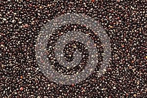 Organic Black Quinoa seed Chenopodium quinoa in full frame plane spreaded shape.