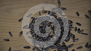 Organic black sunflower seeds falling on wooden background. Slow motion.