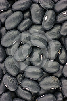 Organic black turtle beans