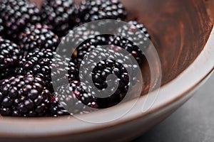 Organic blackberry in a wooden bowl. Bio cultivated black berries close up