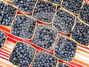 Organic blue berries for sale at market.