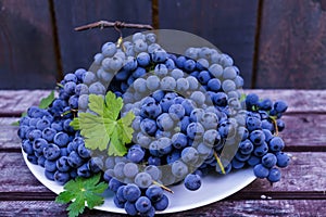 Organic blue grapes on the background of dark boards, prepared for a buffet table