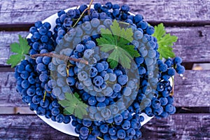 Organic blue grapes on the background of dark boards, prepared for a buffet table