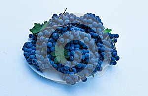 Organic blue grapes on the background of dark boards, prepared for a buffet table