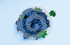 Organic blue grapes on the background of dark boards, prepared for a buffet table