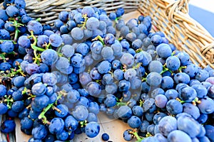 Organic blue grapes at a Farmer`s Market